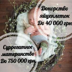 Центр Счастье материнства. Программа суррогатного материнства, донорства яйцеклеток - объявление